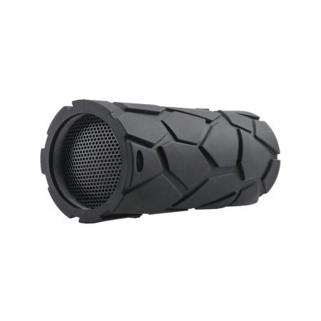 Speaker Zone
